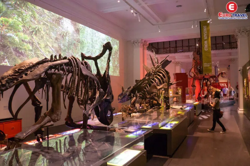 Bảo tàng quốc gia Úc – National Museum Of Australia