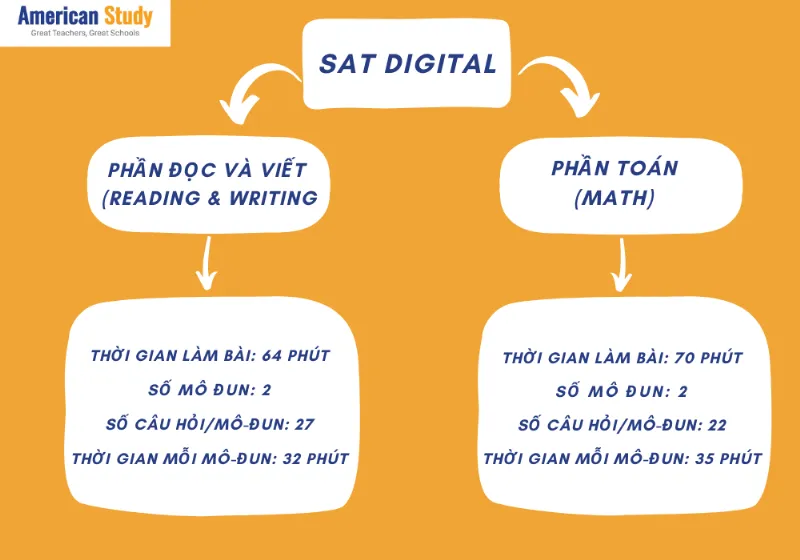 Cấu trúc bài thi SAT mới nhất
