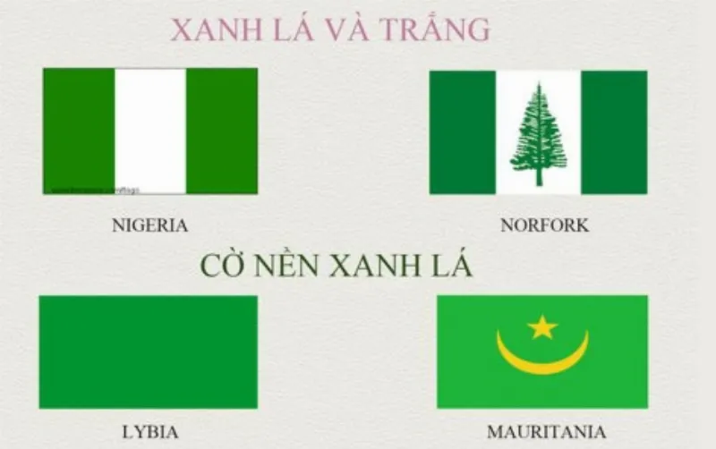 Cờ Các Nước Trên Thế Giới Màu Xanh Lá