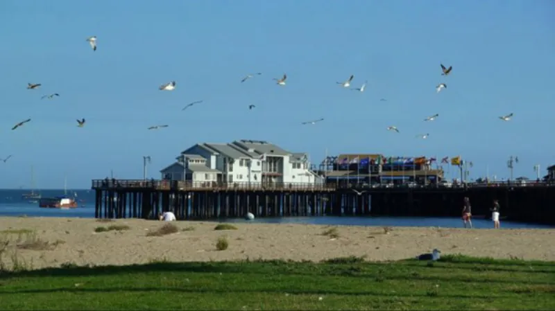 Con đường PCH huyền thoại đi qua thành phố Malibu.