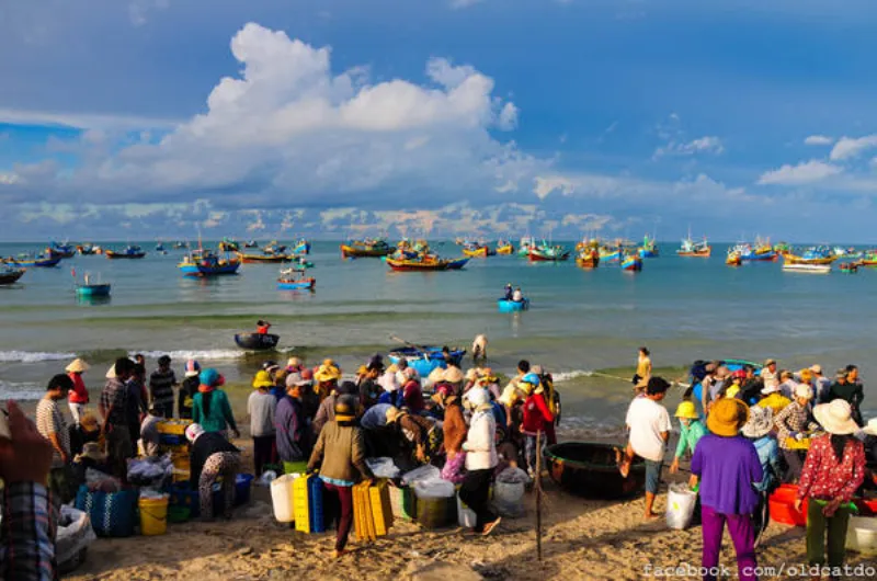 Đến đây bạn cũng đừng bỏ lỡ dịp hòa mình vào phiên chợ cá sôi động đầy màu sắc với đủ những âm thanh rộn rã của một ngày mới. Nguồn ảnh: Mèo Già