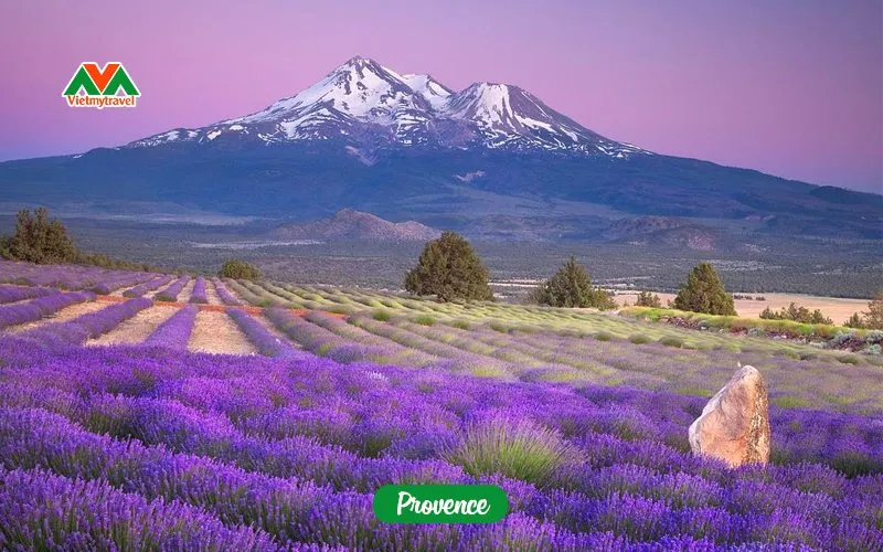 Địa điểm du lịch châu Âu nổi tiếng - Provence