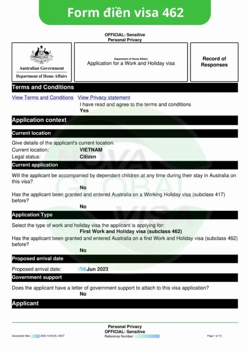 hướng dẫn điền visa 462 786453