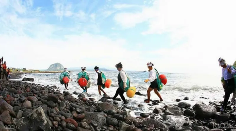 KhámPháĐôngJeju