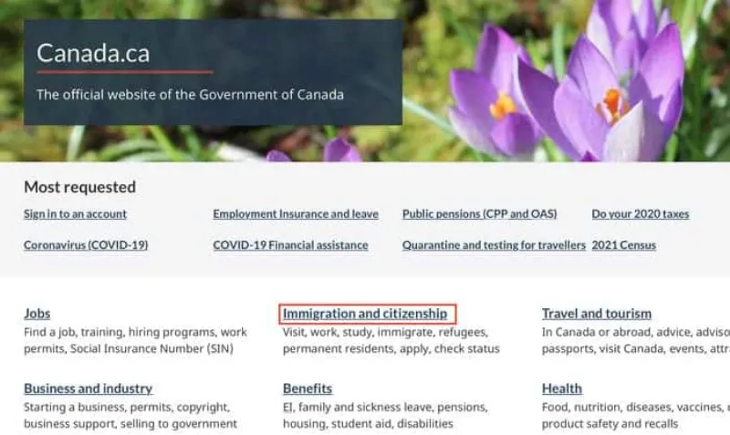 kiểm tra tình trạng visa canada visana3