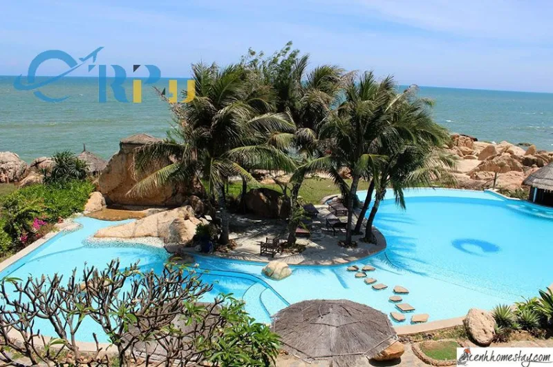 Mũi k&ecirc; g&agrave;