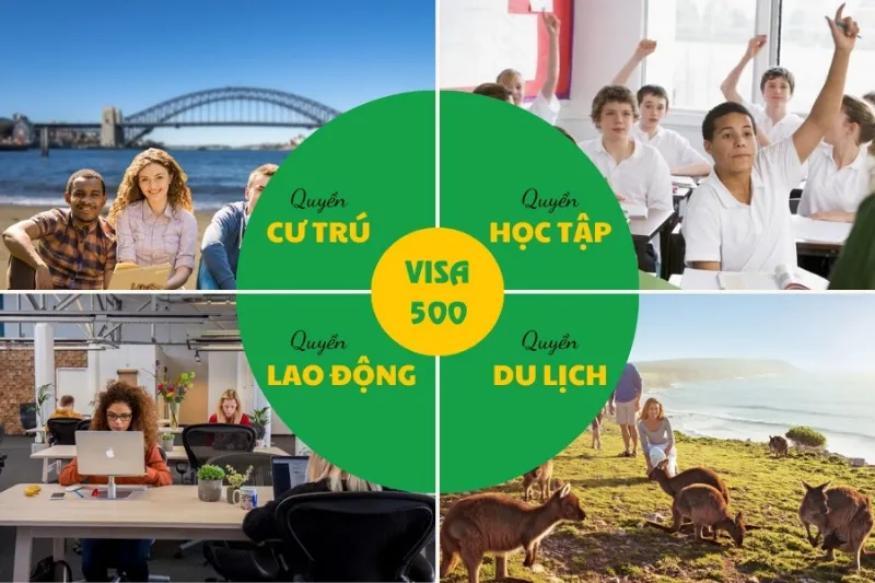 Quyền lợi của người sở hữu visa 500 úc
