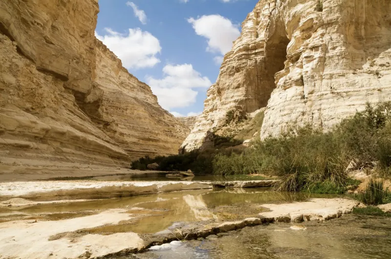 Sa mạc Negev rộng lớn ở Israel - Tại sao Israel được coi là siêu cường nhỏ nhất thế giới? - Ảnh 3.