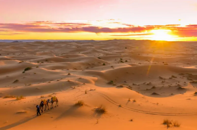 Sa mạc Sahara.jpg