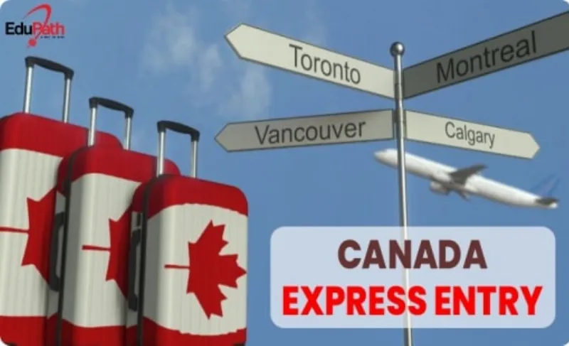 Sinh viên quốc tế có thể chọn du học và định cư Canada theo chương trình liên bang Express Entry - VISCO