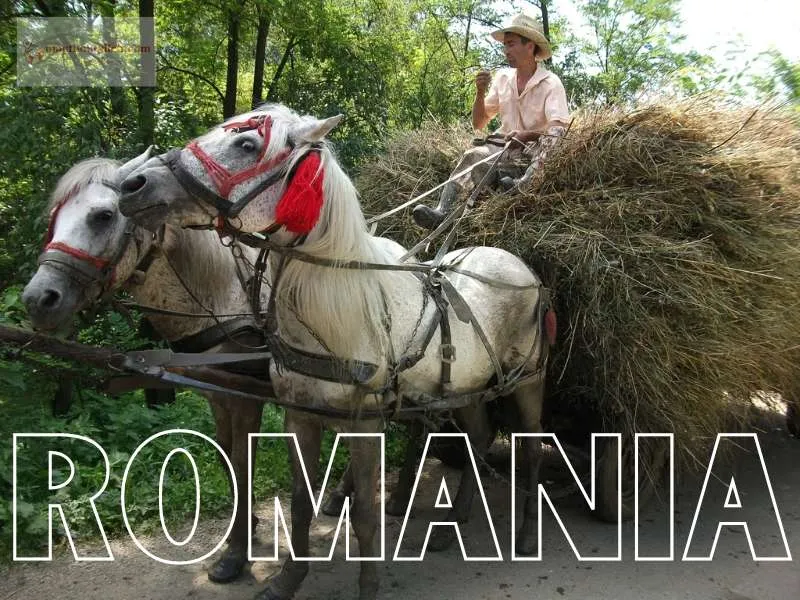 Tiếng Romania - ngôn ngữ giao tiếp phổ biến ở Rumani