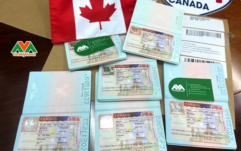 Tư vấn visa Canada VISCO