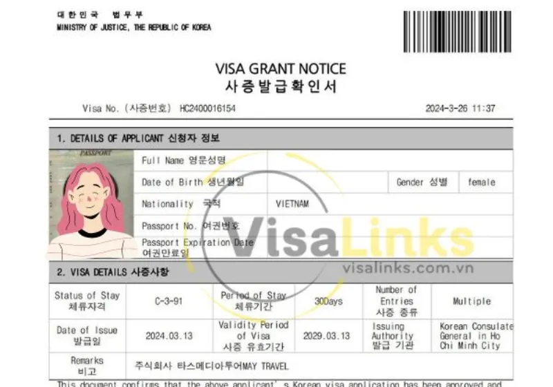 Visa C3 91 Hàn Quốc