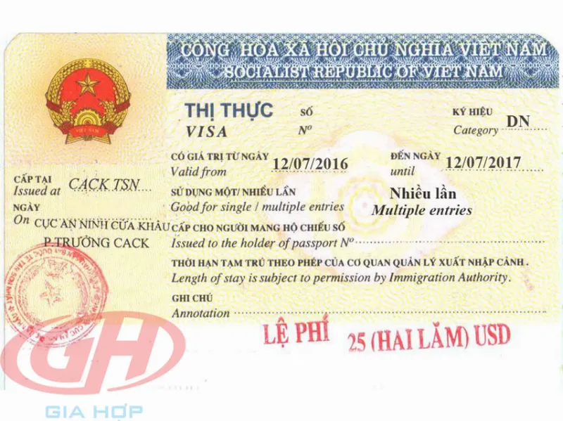 visa doanh nghiệp