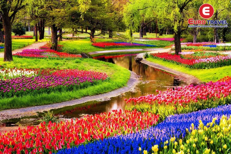 Vườn hoa tulip khoe sắc rực rỡ tại Keukenhof