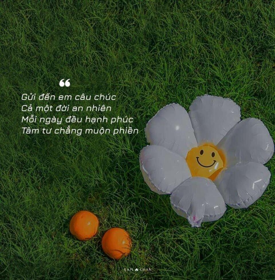 Cap Chill Yêu Đời STT Hay, Yêu Bản Thân: Năng Lượng Cho Ngày Mới Cap Chill Yêu Đời STT Hay, Yêu Bản Thân: Năng Lượng Cho Ngày Mới