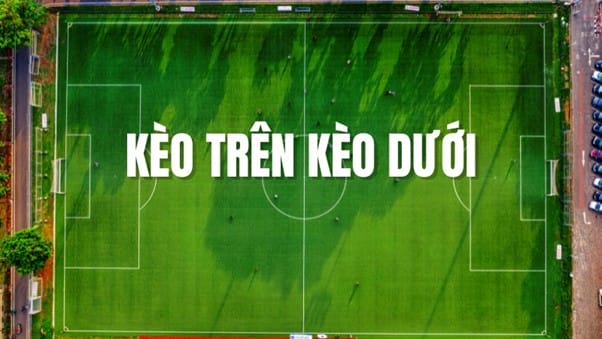 Chiến lược cá cược kèo trên kèo dưới hiệu quả