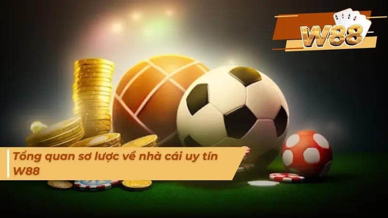 W88 - Sự Lựa Chọn Hoàn Hảo Cho Người Chơi Đam Mê Cá Cược W88 - Sự Lựa Chọn Hoàn Hảo Cho Người Chơi Đam Mê Cá Cược