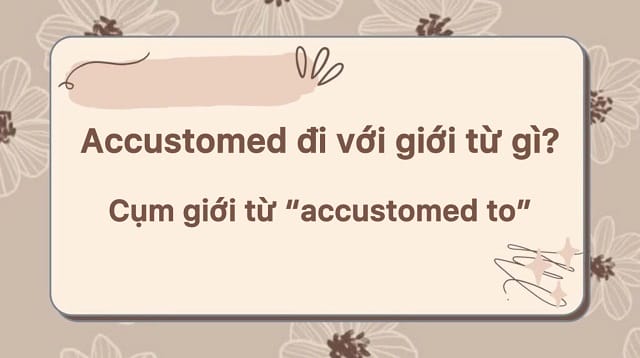 Tìm hiểu accustomed đi với giới từ gì? Cấu trúc phổ biến của "accustomed"