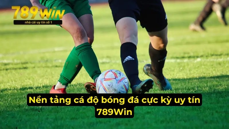 Nền tảng cá độ bóng đá cực kỳ uy tín 789Win