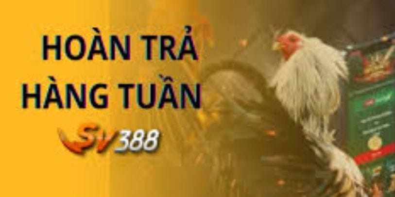 Hướng dẫn tham gia khuyến mãi hoàn tiền tại nhà cái SV388 Hướng dẫn tham gia khuyến mãi hoàn tiền tại nhà cái SV388