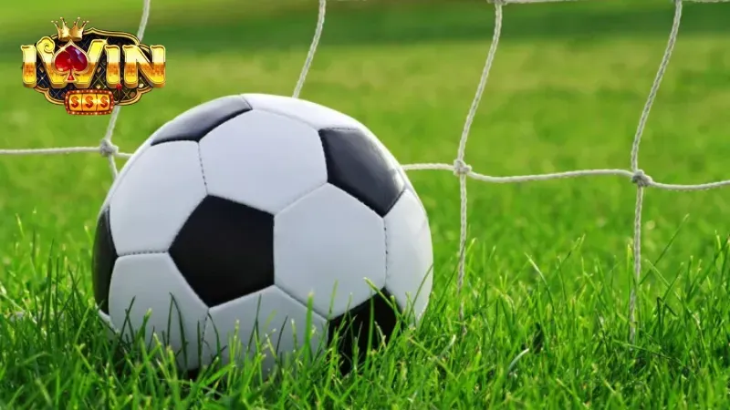 Trải nghiệm cá cược bóng đá tại nhà cái uy tín