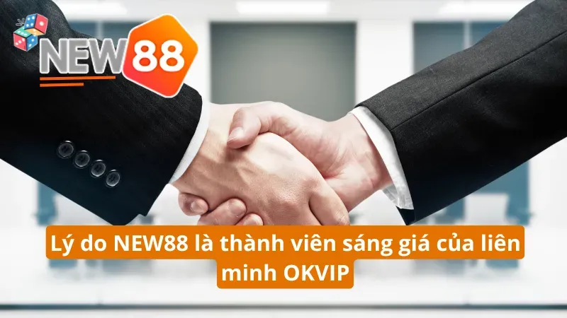 Đặc điểm tiềm năng của NEW88 tại liên minh nhà cái OKVIP