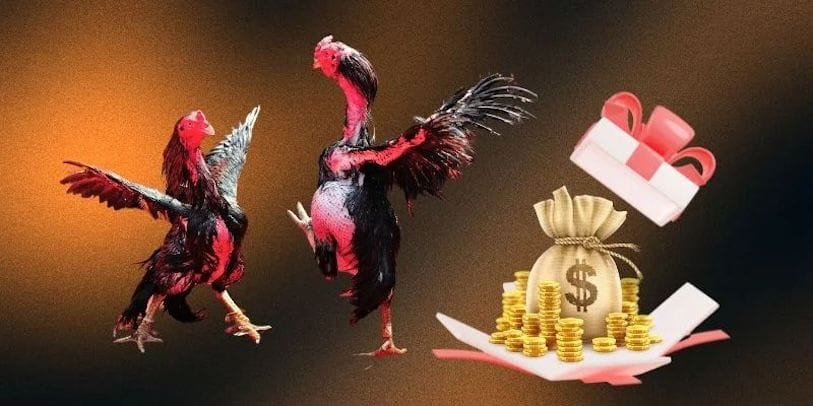 Những trường hợp được hoàn tiền tại nhà cái SV388 Những trường hợp được hoàn tiền tại nhà cái SV388