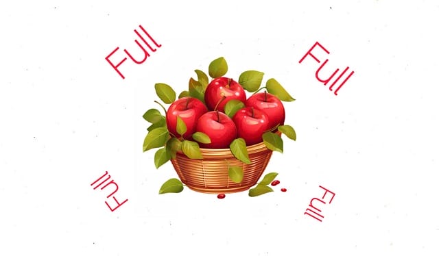 Full đi với giới từ gì? Giải mã ý nghĩa của “full” một cách nhanh chóng