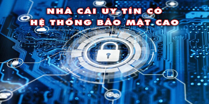 Lý do nhà cái thu hút được nhiều người tham gia
