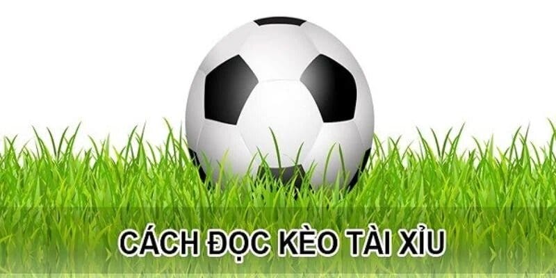 Nhiều tỷ lệ kèo tài xỉu 12BET trên thị trường