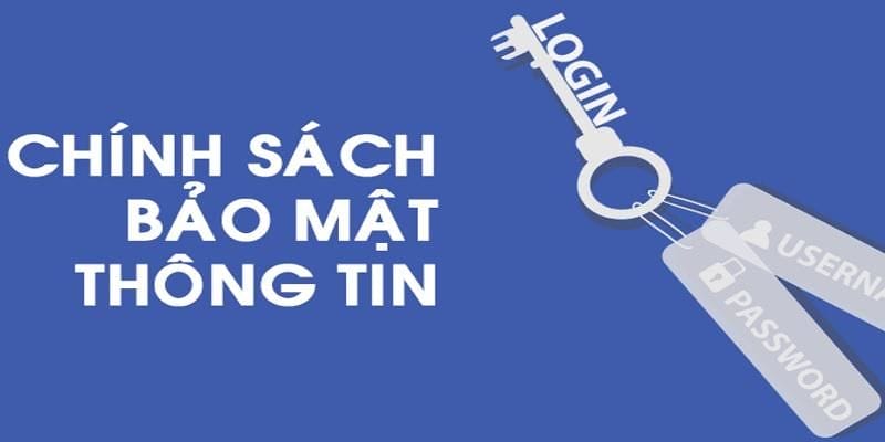 Tổng hợp chính sách bảo mật EV88 chi tiết cho người chơi Tổng hợp chính sách bảo mật EV88 chi tiết cho người chơi