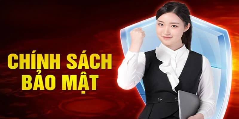 Nhà cái NN88 thu thập thông tin người chơi như thế nào?