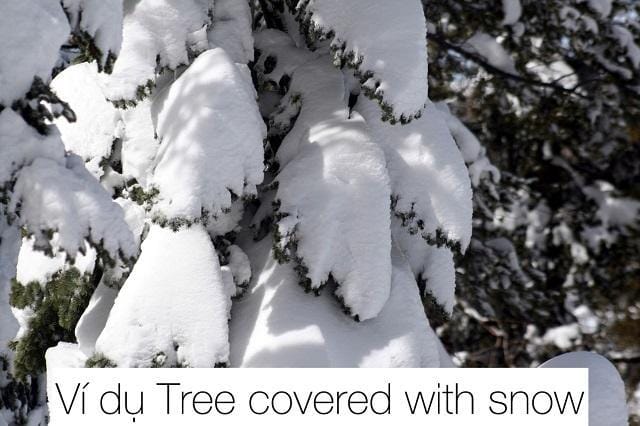 Cách ghi nhớ cách sử dụng chuẩn của cấu trúc "covered + with"