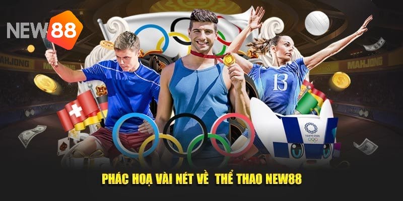 Danh sách các nhà cung cấp thể thao New88