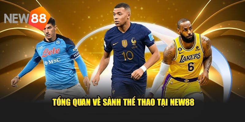 New88 - Sân chơi Cá Cược Thể Thao Đỉnh Cao đẳng cấp