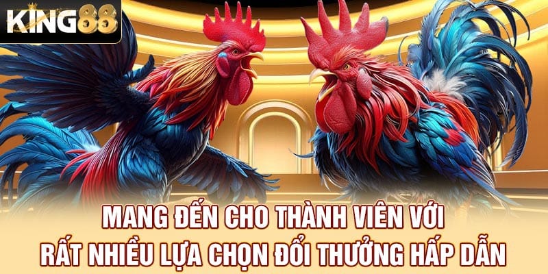 Mang đến cho thành viên với rất nhiều lựa chọn đổi thưởng hấp dẫn Mang đến cho thành viên với rất nhiều lựa chọn đổi thưởng hấp dẫn