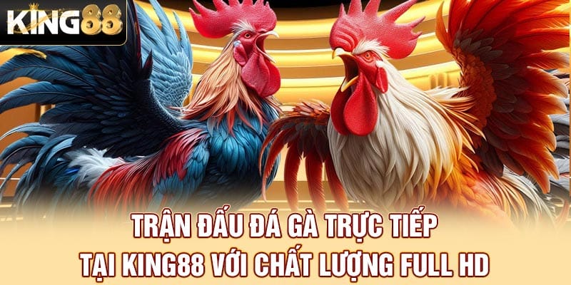 Trận đấu đá gà trực tiếp tại King88 với chất lượng Full HD Trận đấu đá gà trực tiếp tại King88 với chất lượng Full HD