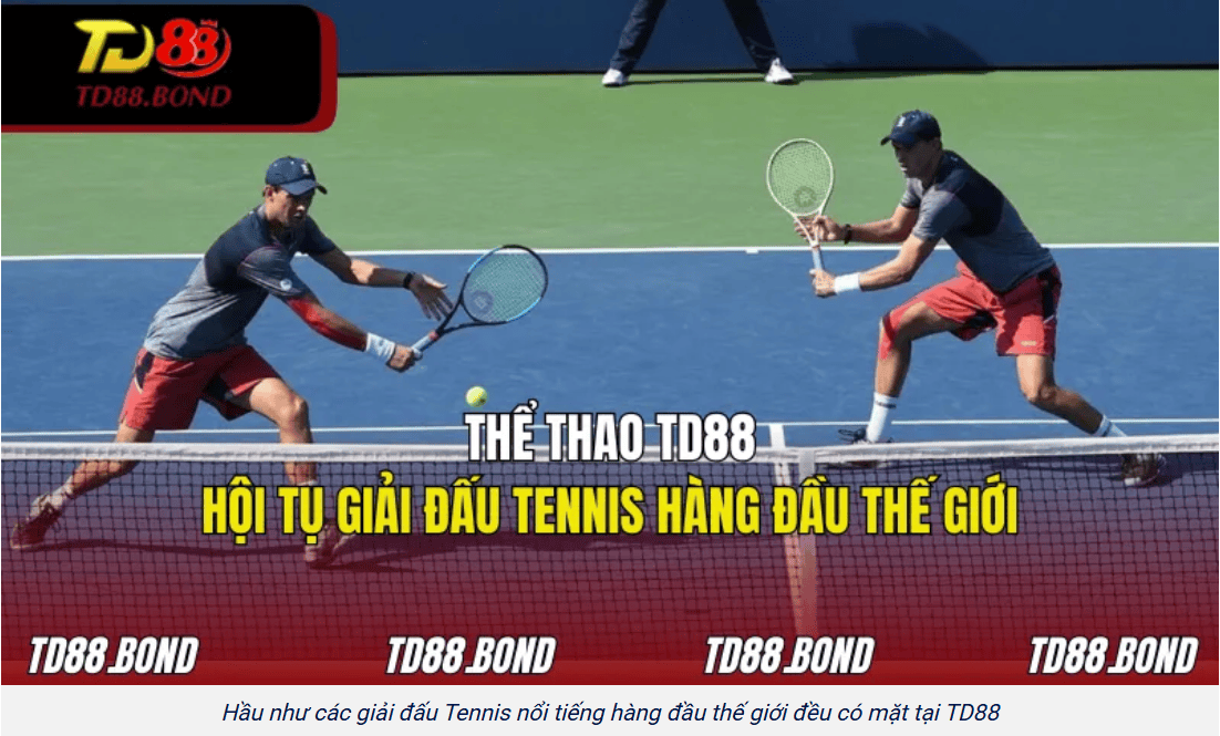 Hệ thống thể thao và các môn được yêu thích tại TD88