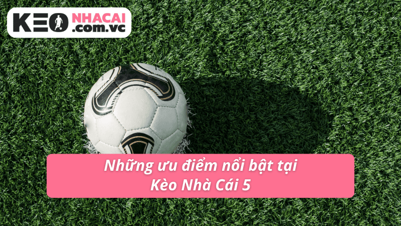 Những ưu điểm nổi bật tại Kèo Nhà Cái 5 Những ưu điểm nổi bật tại Kèo Nhà Cái 5