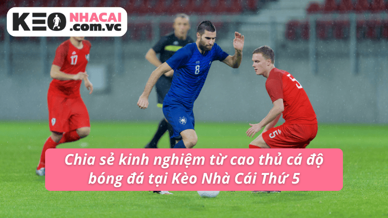 Chia sẻ kinh nghiệm từ cao thủ cá độ bóng đá tại Kèo Nhà Cái 5 Chia sẻ kinh nghiệm từ cao thủ cá độ bóng đá tại Kèo Nhà Cái 5