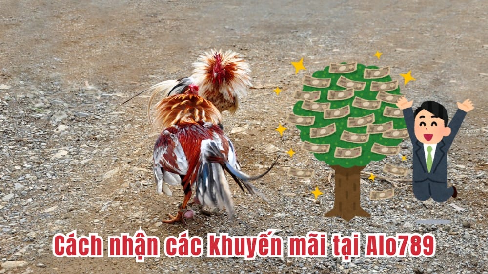 Cách nhận các khuyến mãi tại Alo789 Cách nhận các khuyến mãi tại Alo789