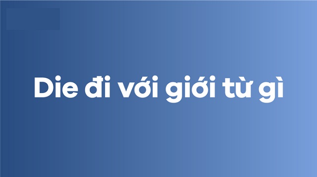 Die là gì?