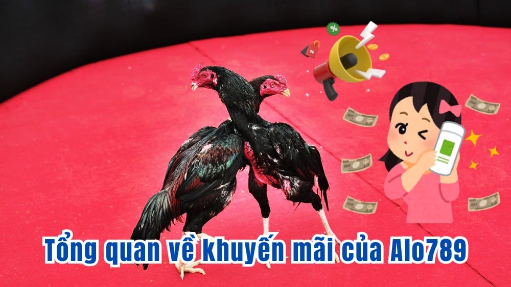 Các chương trình khuyến mãi hấp dẫn từ nhà cái Alo789