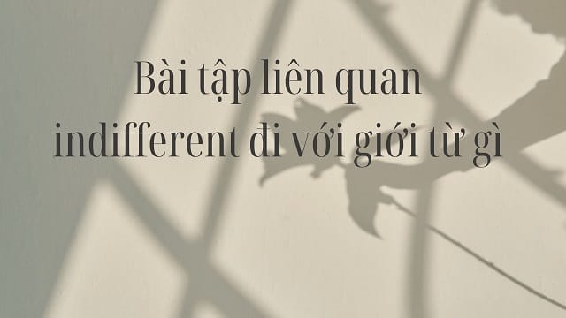 Bài tập liên quan đến indifferent đi với giới từ gì