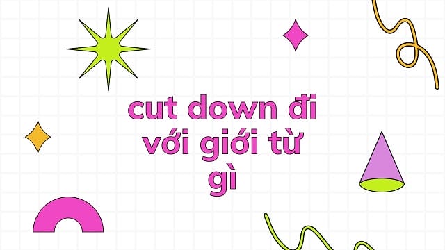 Cut down đi với giới từ gì?