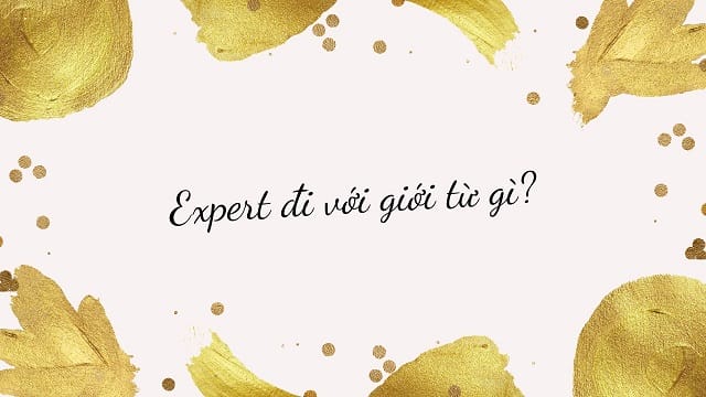 Expert đi với giới từ gì?