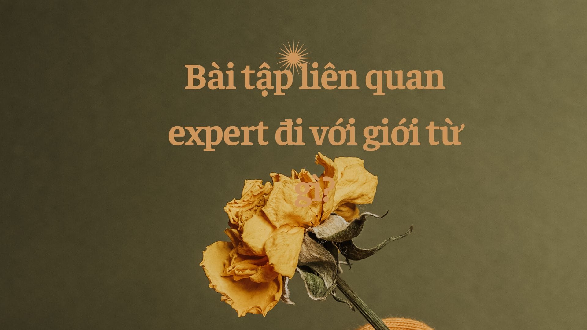 Thực hành làm bài tập thường xuyên để nâng cao trình độ mỗi ngày