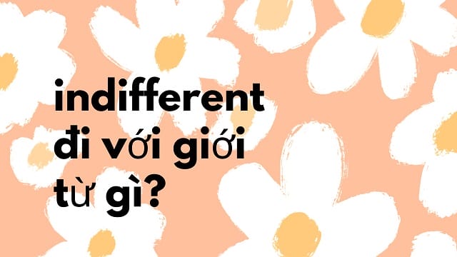 Indifferent đi với giới từ gì?