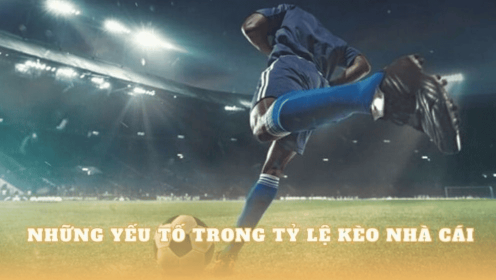 Mẹo đọc kèo bóng đá 7m – nắm vững 3 quy tắc vàng của dân chuyên